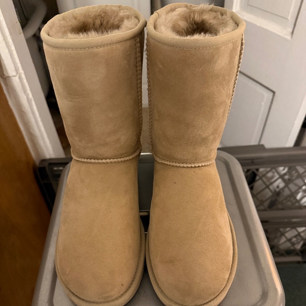 Size 9 Ugg Classic Short II in Mustard Seed